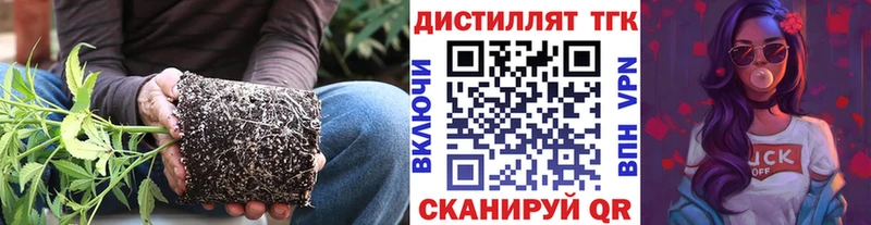 Дистиллят ТГК вейп с тгк  Пласт 