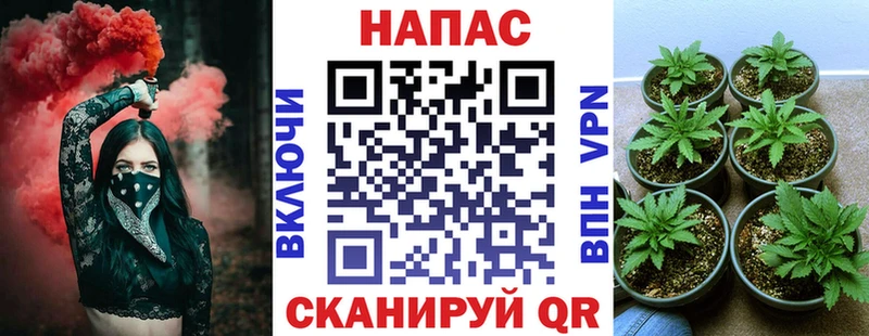 магазин    omg зеркало  Бошки марихуана марихуана  Пласт 